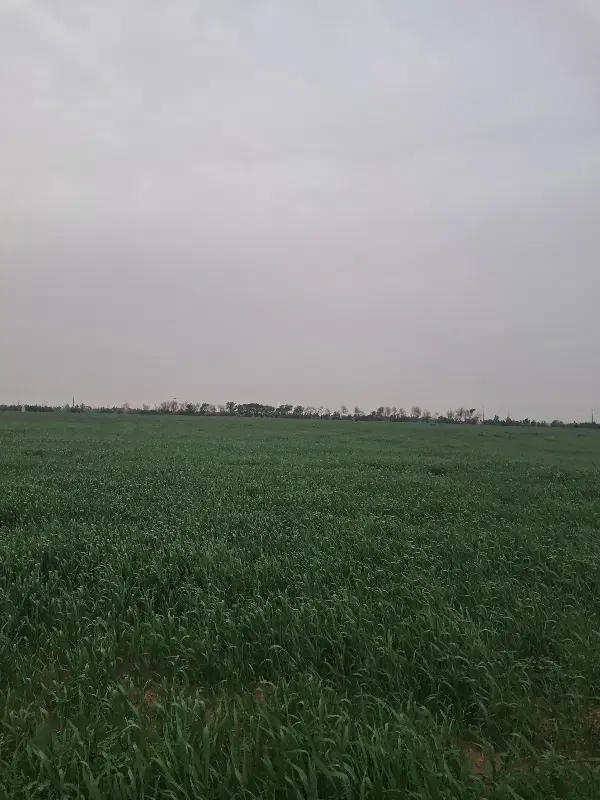 زمین کشاورزی منطقه برتش