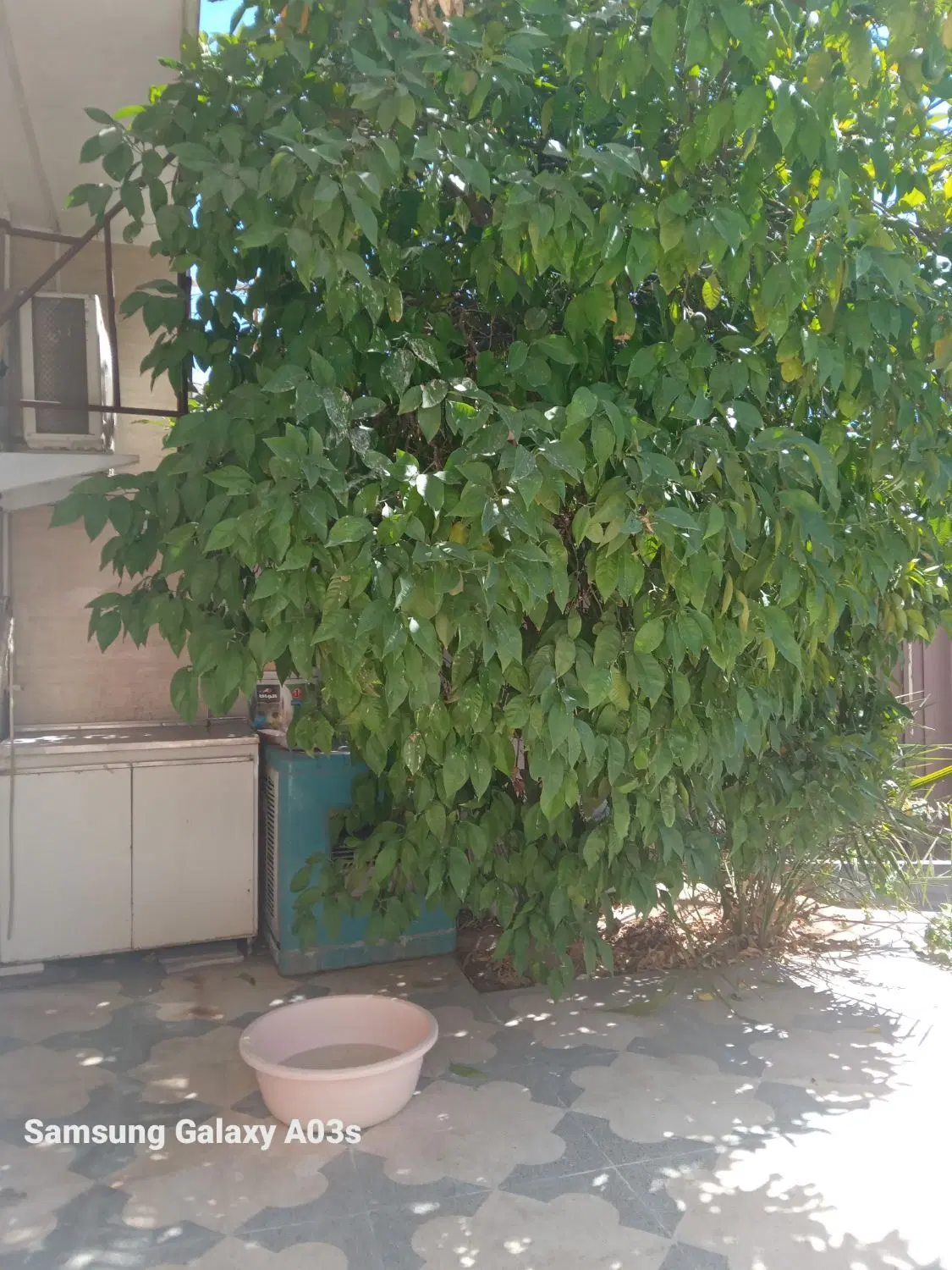 فروش خانه ویلایی شیراز