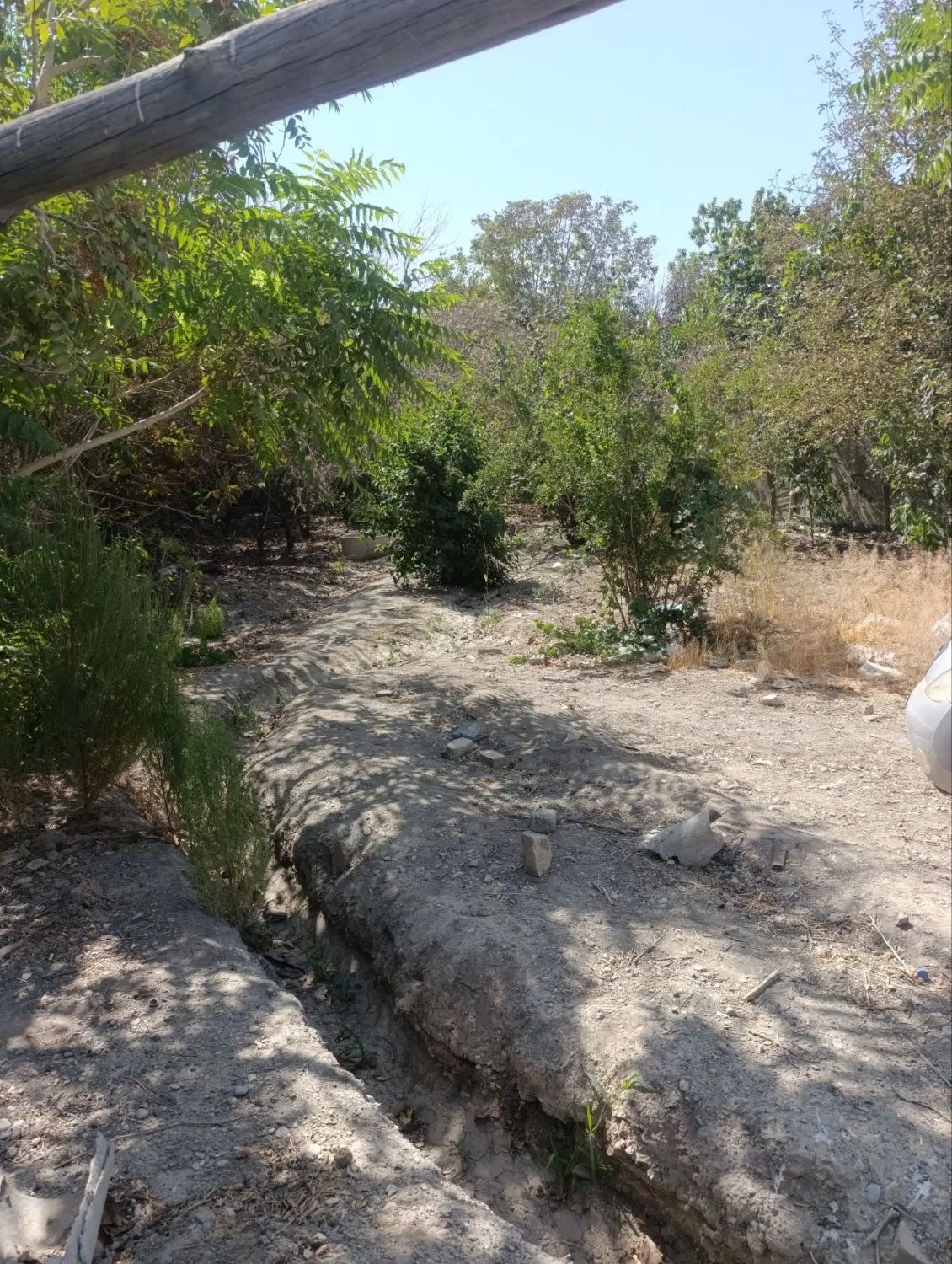 زمین باغ