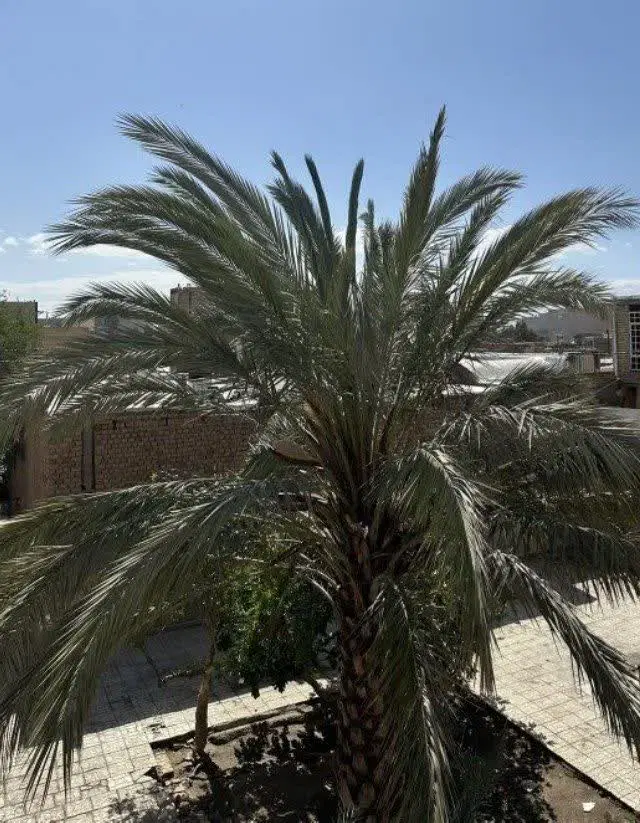 فروش خانه کلنگی