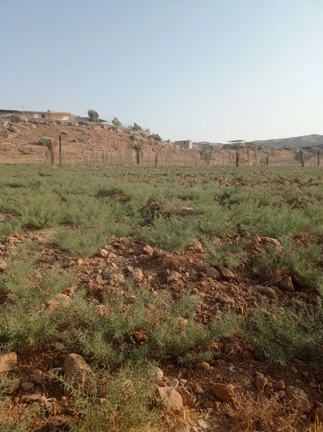 زمین مسکونی