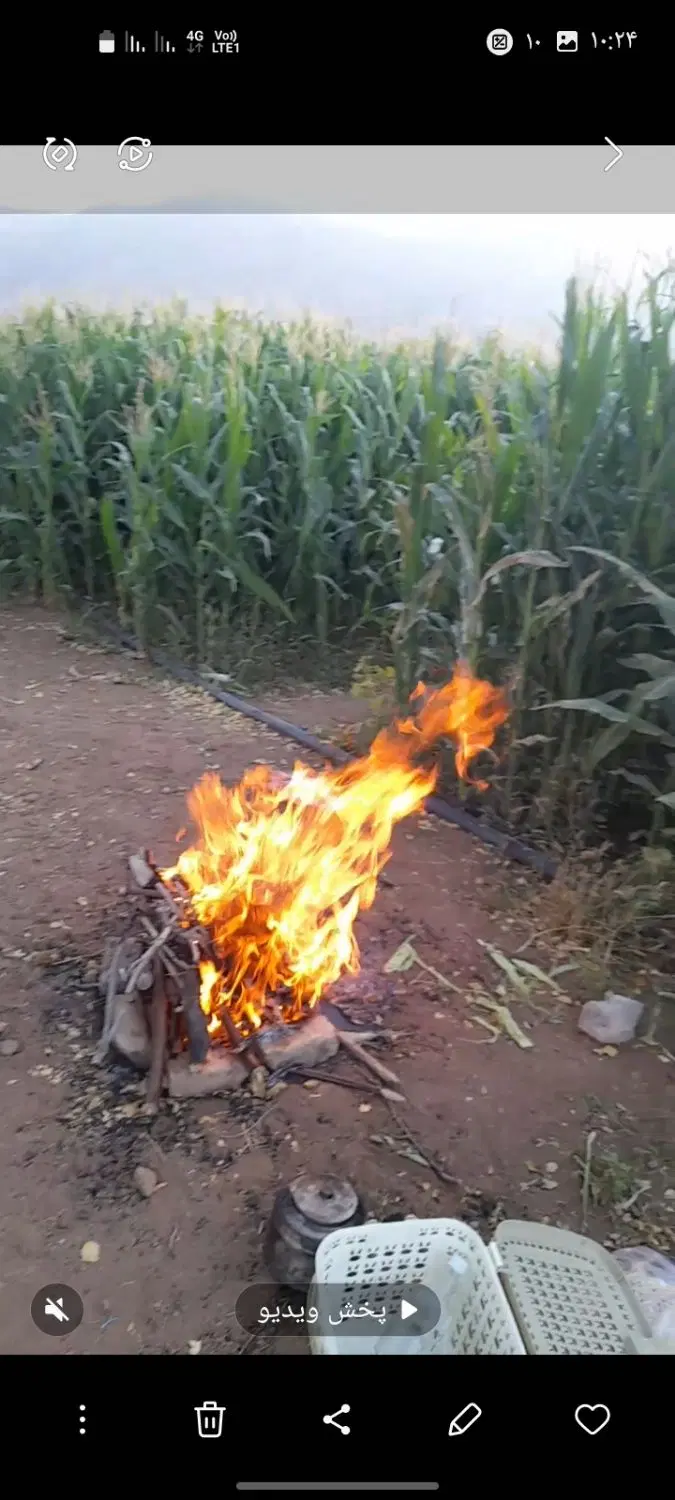 ملک. کشاورزی. ویست