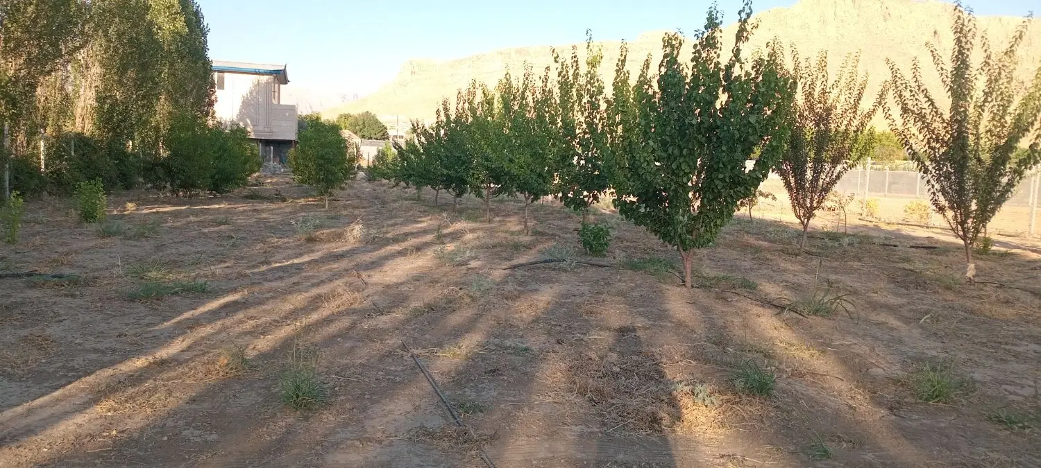 باغ۲هزار۵۰۰متر