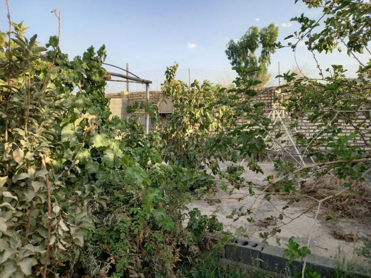 خانه باغ در مزرعه مبارکه بالا
