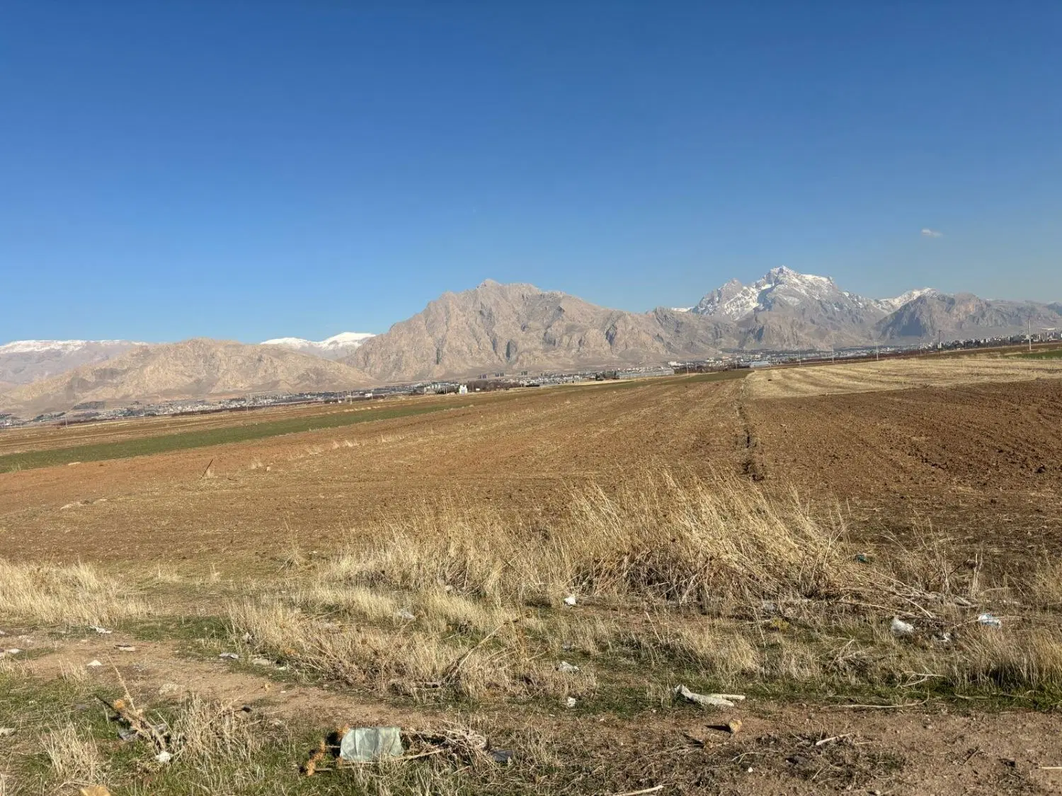 زمین کشاورزی روستای عمرمل