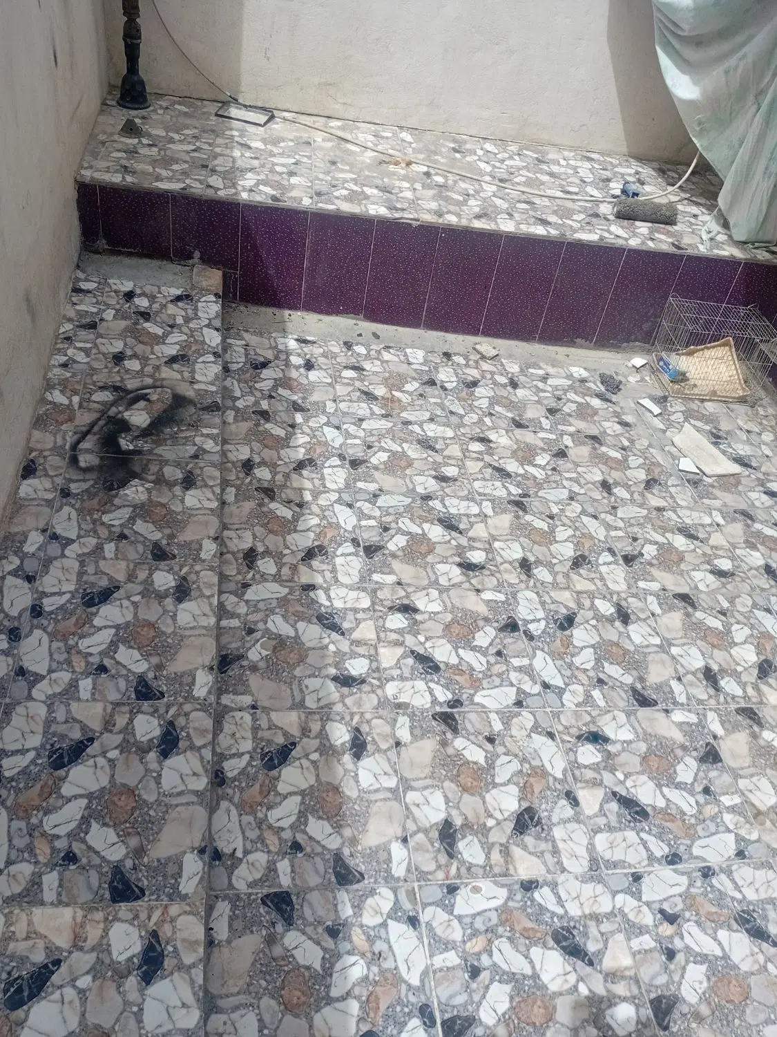 ملک دارای یک خواب