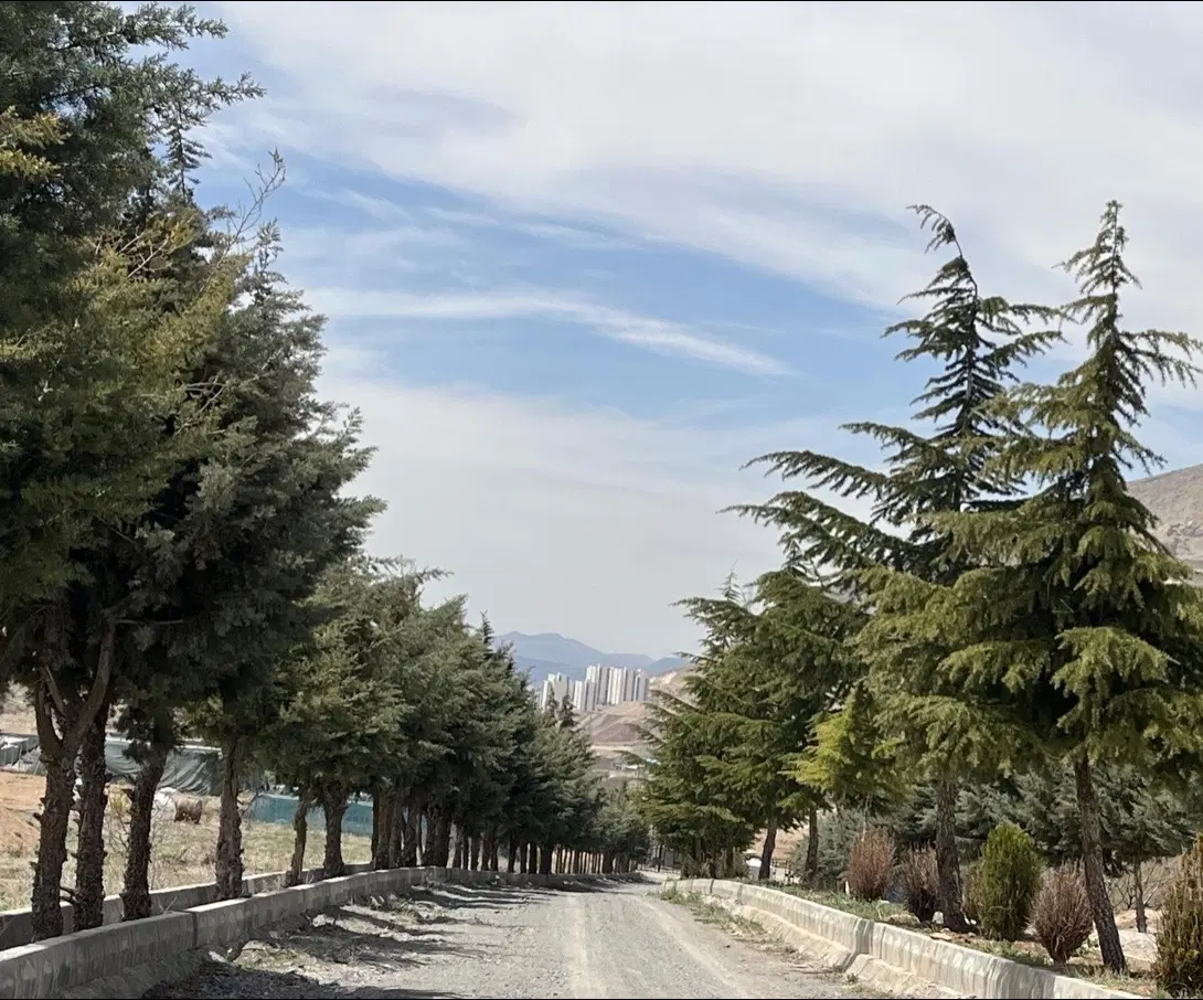 733 متر داخل شهرک