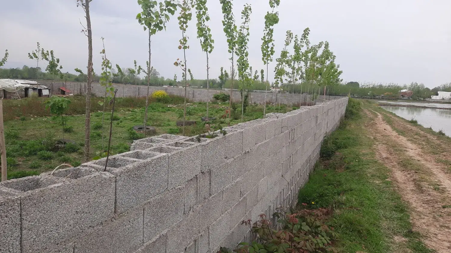 ۵۰۰متر زمین باغی