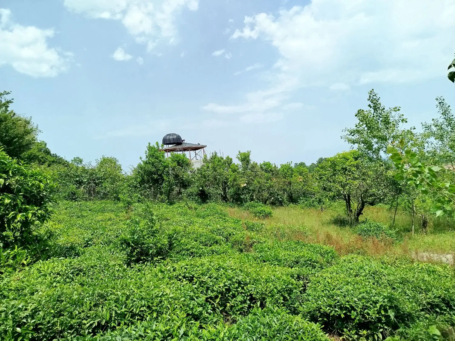 زمین ۲۷۰ متری ازاربن