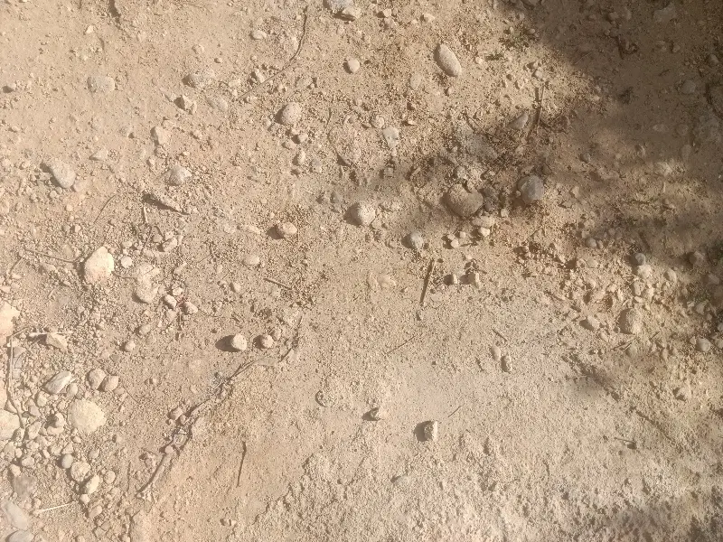 زمین مسنی شده