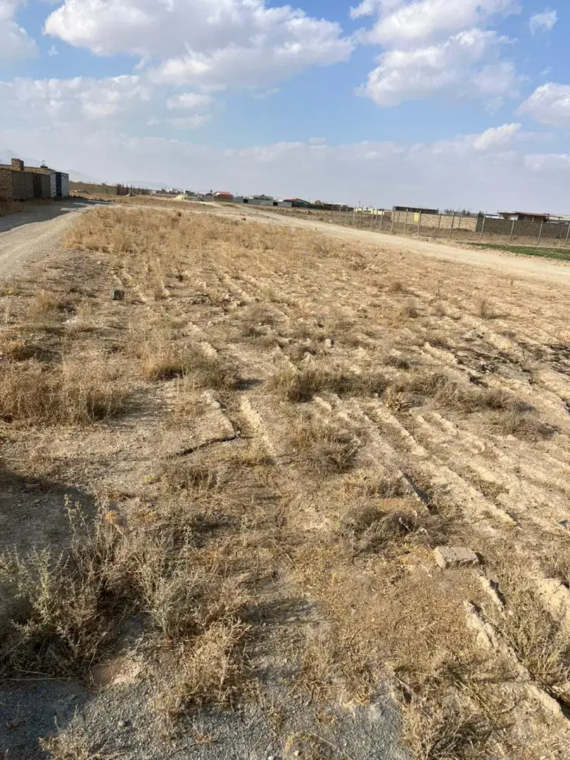 زمین باغی کوچه باغ سیب