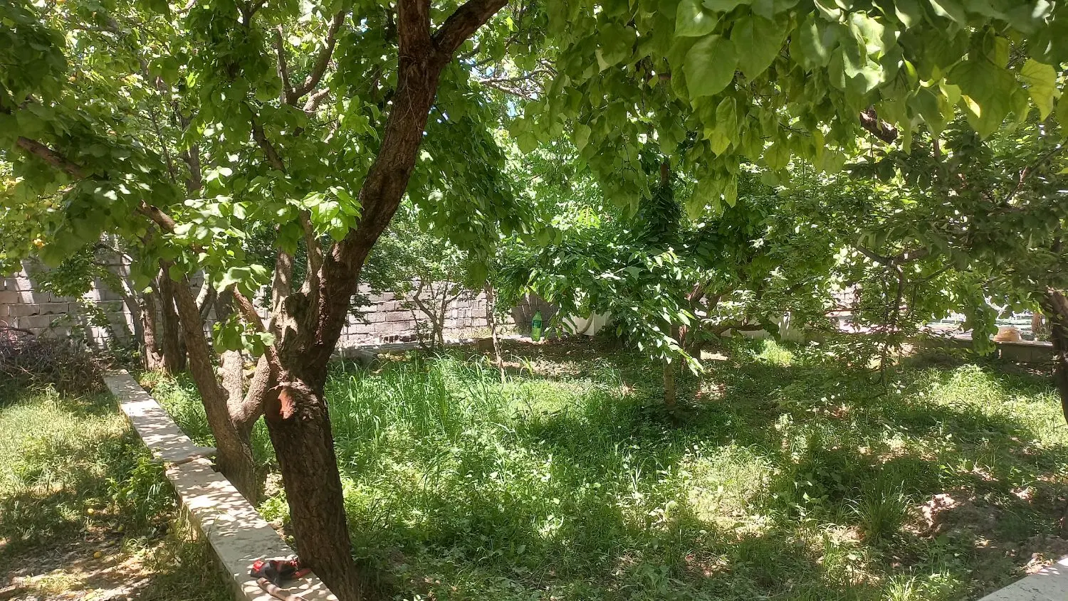 باغ ۱۱۰۰متری کردزار شهریار
