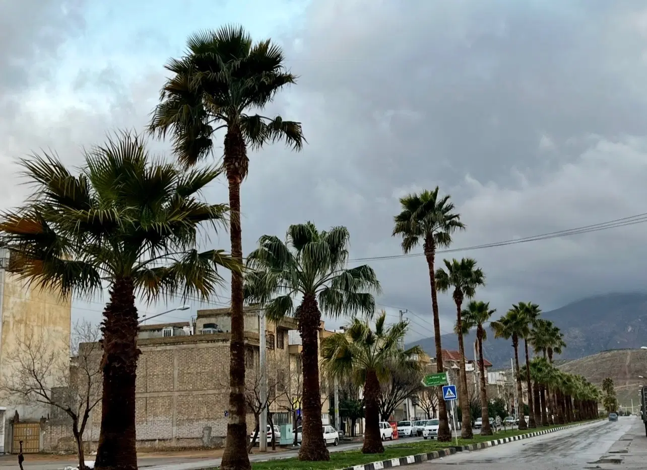 مجهزترین آپارتمان والفجر،استخر،باشگاه ورزشی ،مارکت