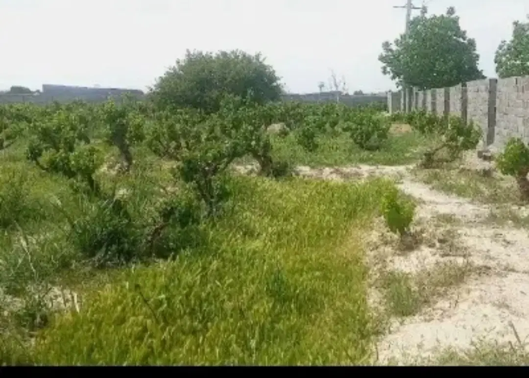 مشارکت در ساخت