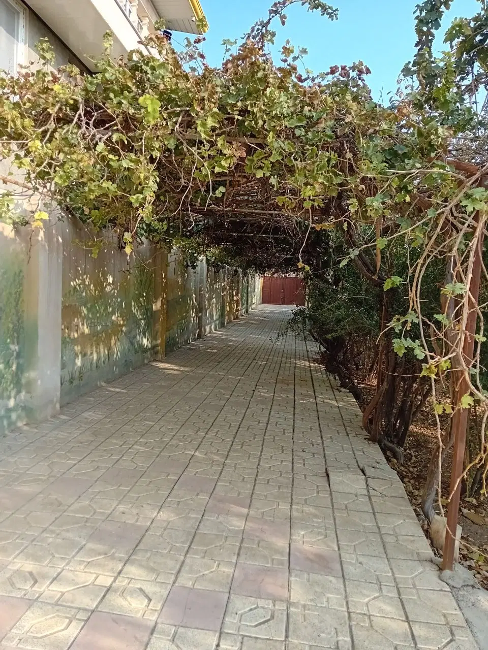 خانه باغ هزار متری با سند شش دانگ ملکی