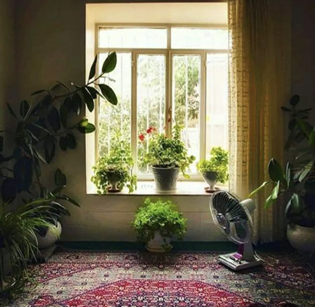 اجاره سویت در بستی 50متری