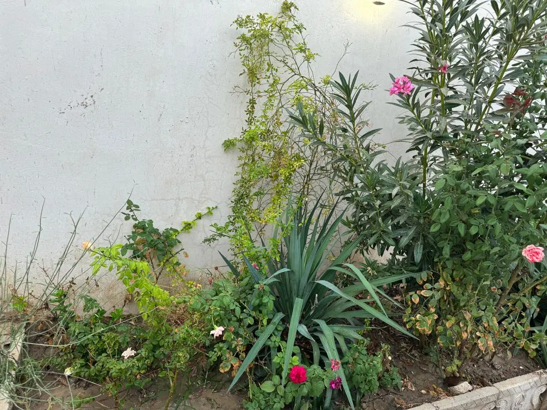 باغچه چهاردیواری نما سنگ اماده ساخت ملارد لم اباد