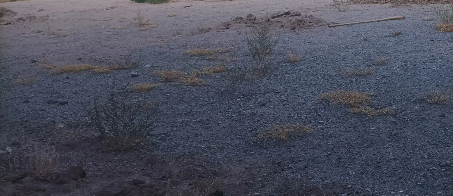 فروش زمین ریگان خیابان  پارسا