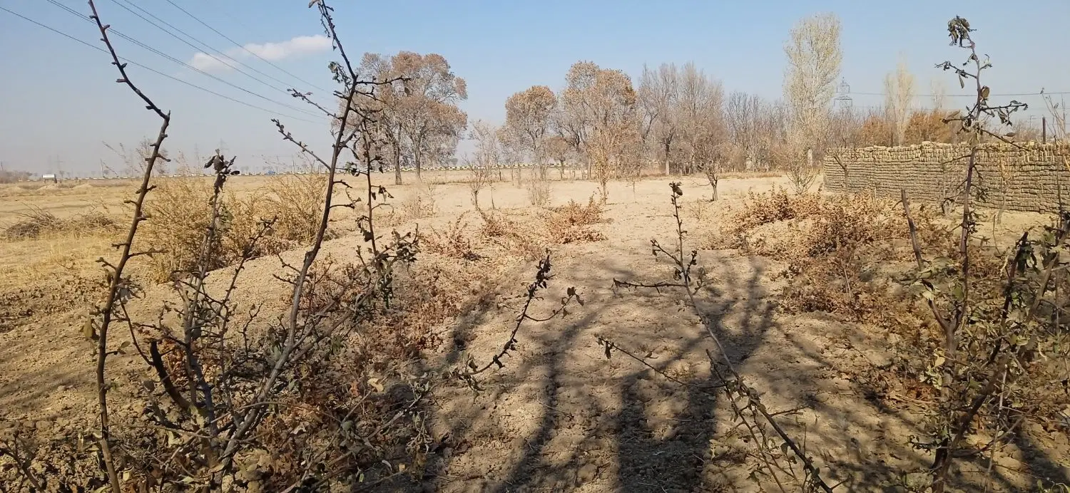 2000 متر زمین