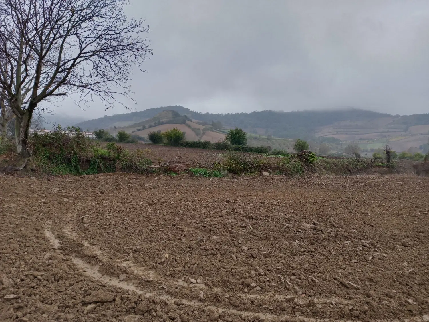 زمین باغی در روستای نومل