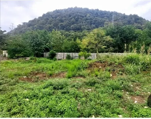 زمین لب جاده اصلی
