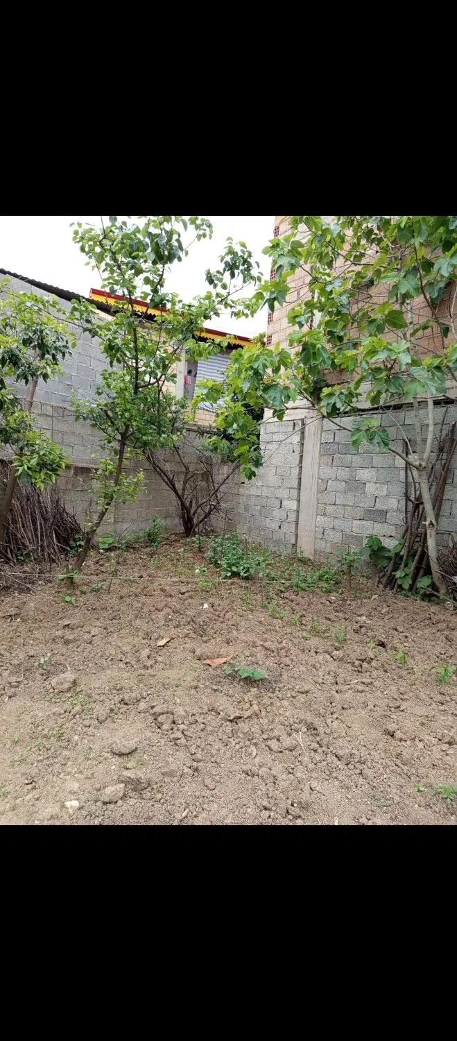 زمین مسکونی در شاندرمن
