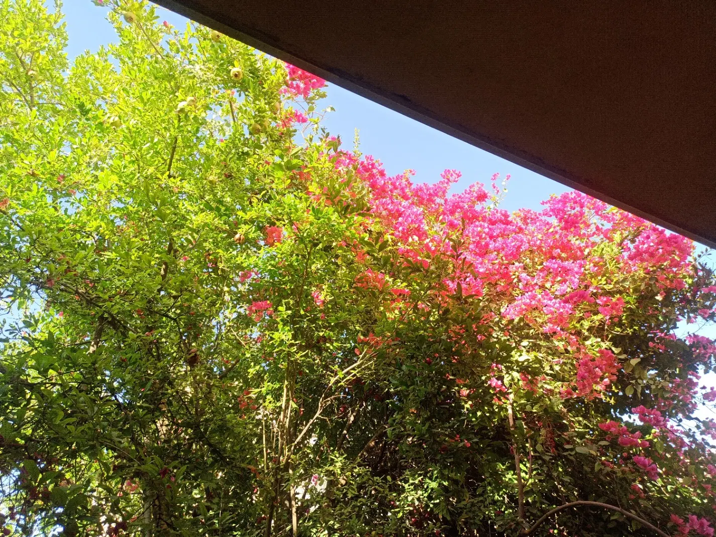 رهن و اجاره منزل ویلایی دربست