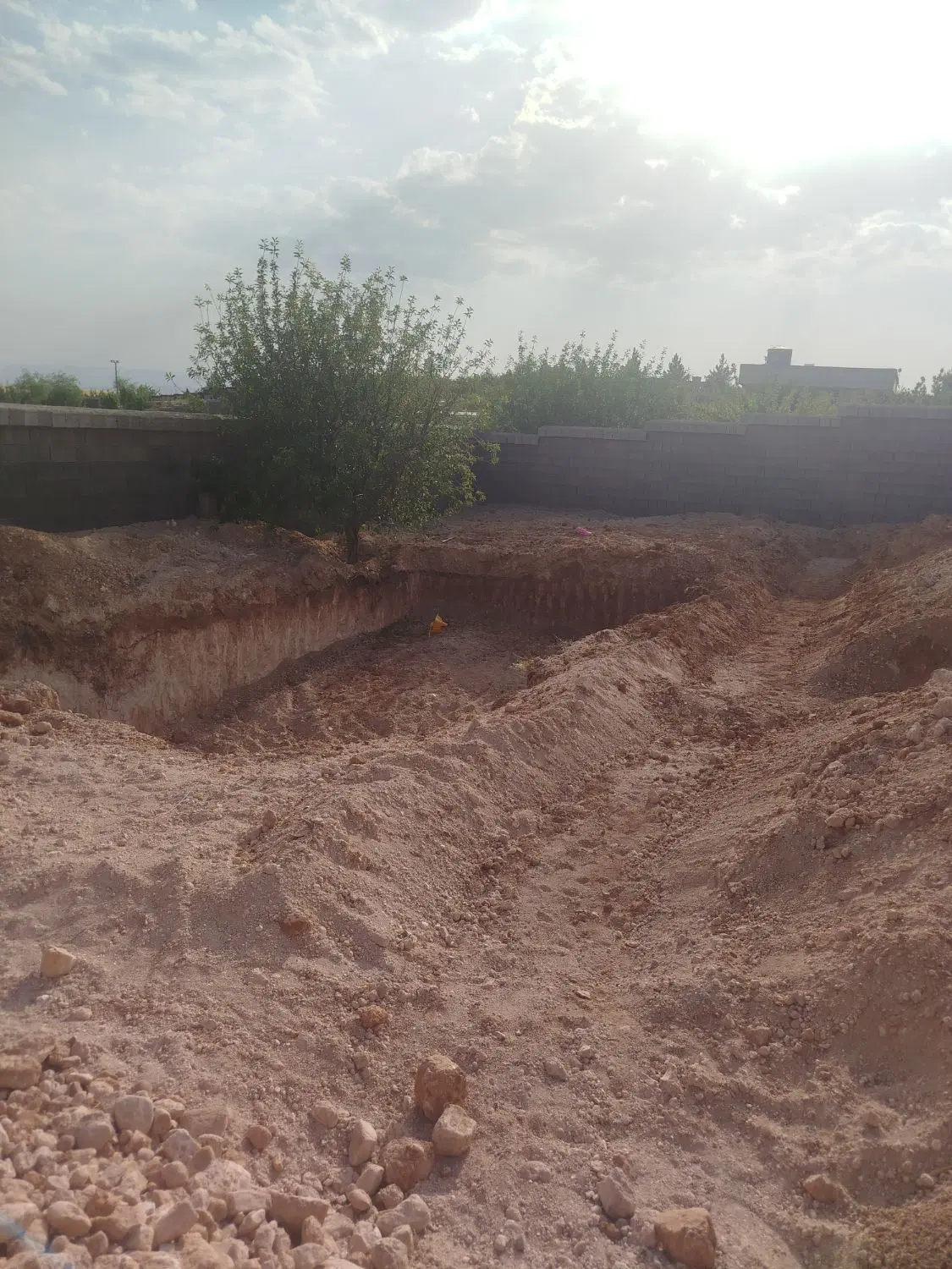 باغ شهری مور سوسنی کودیان