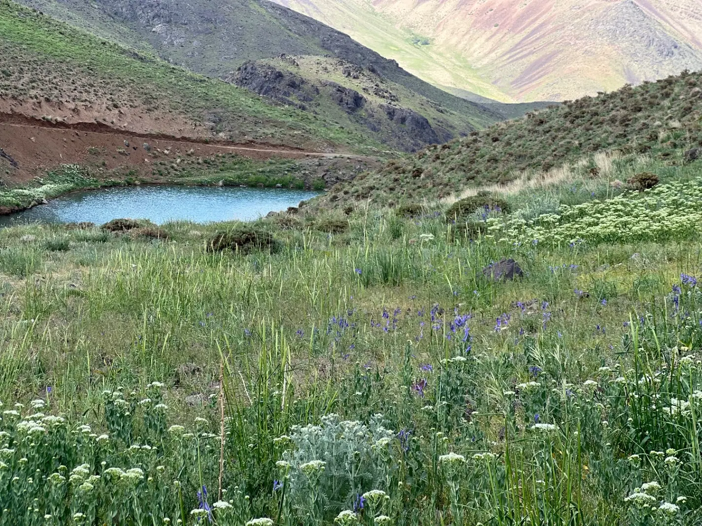 ۳۴۰ مترزمین پروانه ۱۸۰متر در دوطبقه ،روستای کهندان