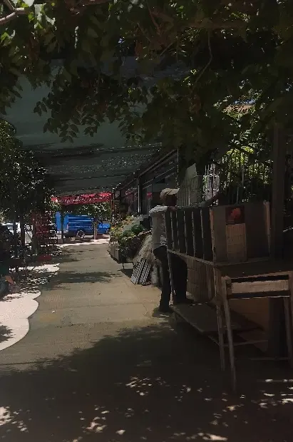 بساط سبزی فروشی جای خوب