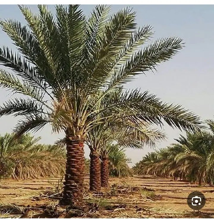 فروش زمین