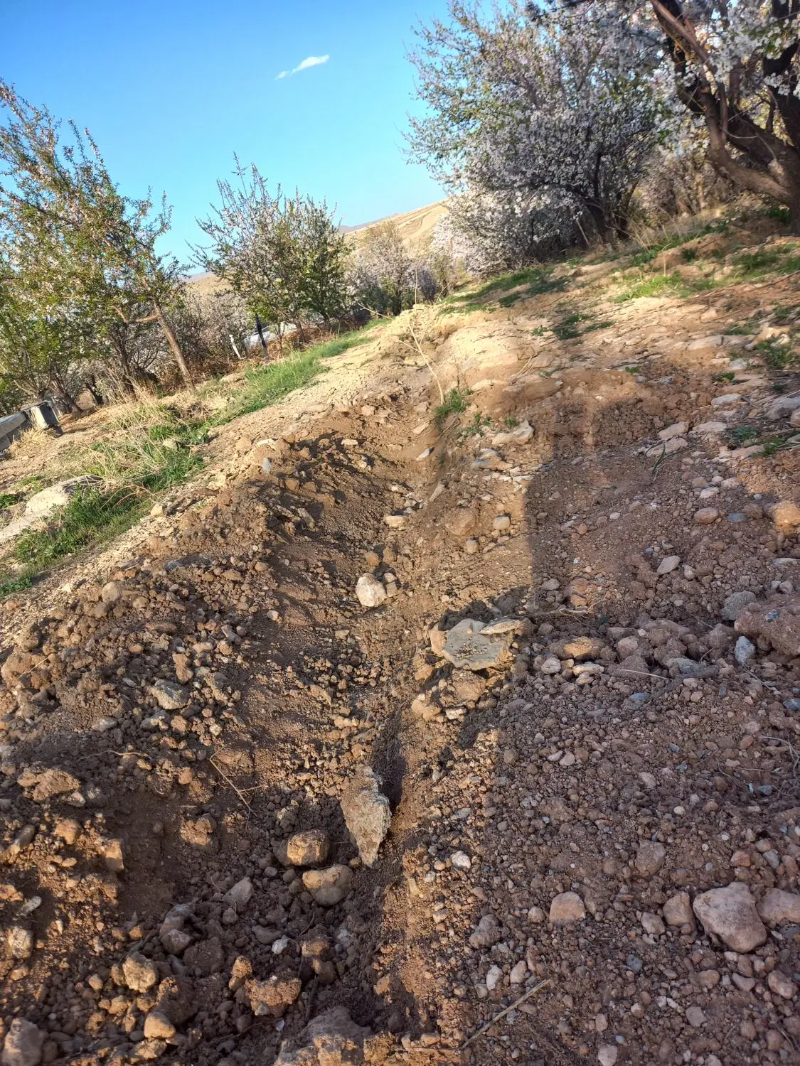فروش زمین باغی