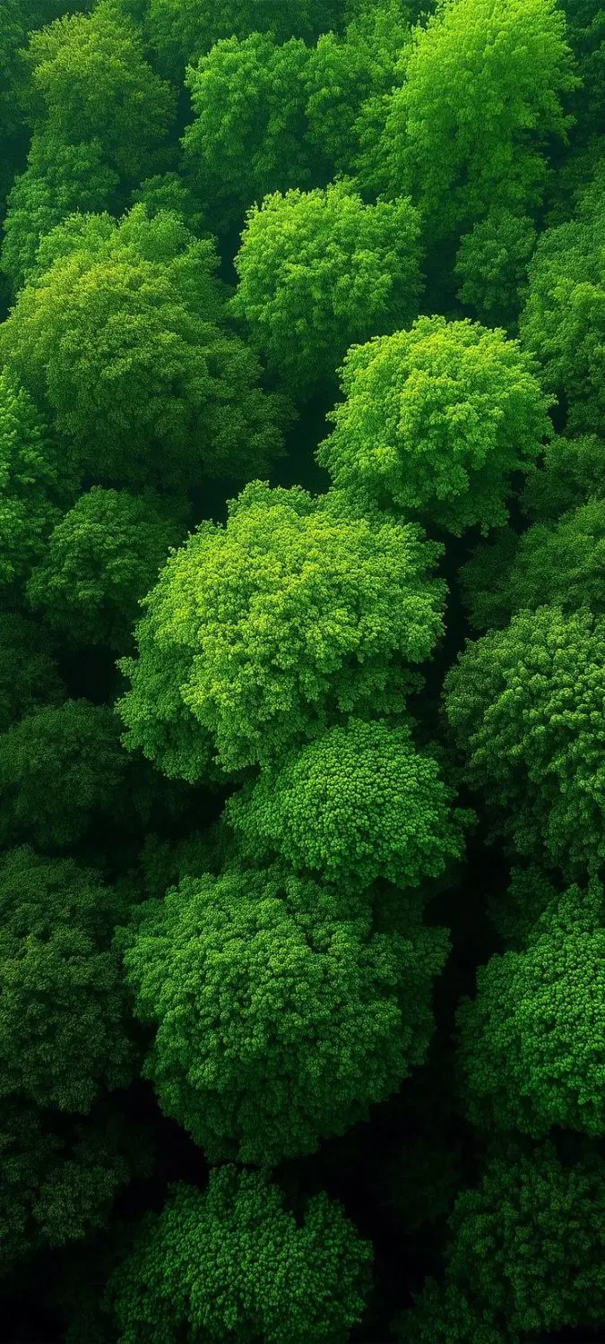 ۵۶۰۰ متر زمین سند دار
