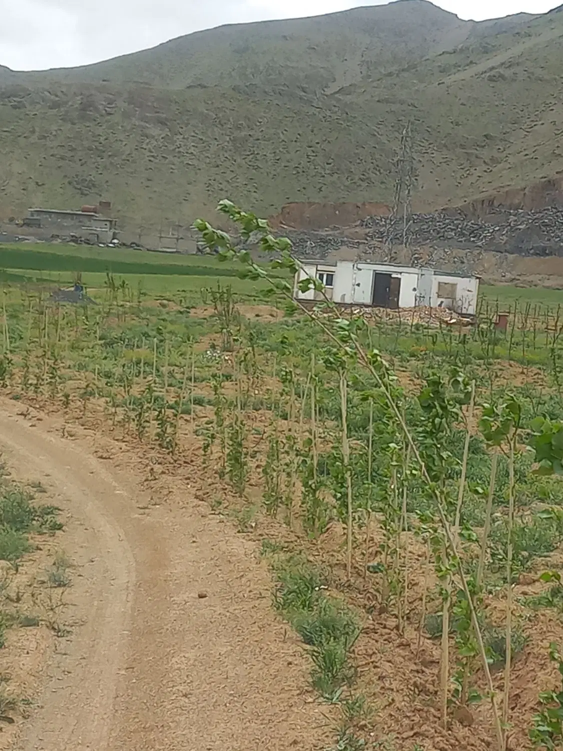 باغ نو بنیاد نزدیک شهر