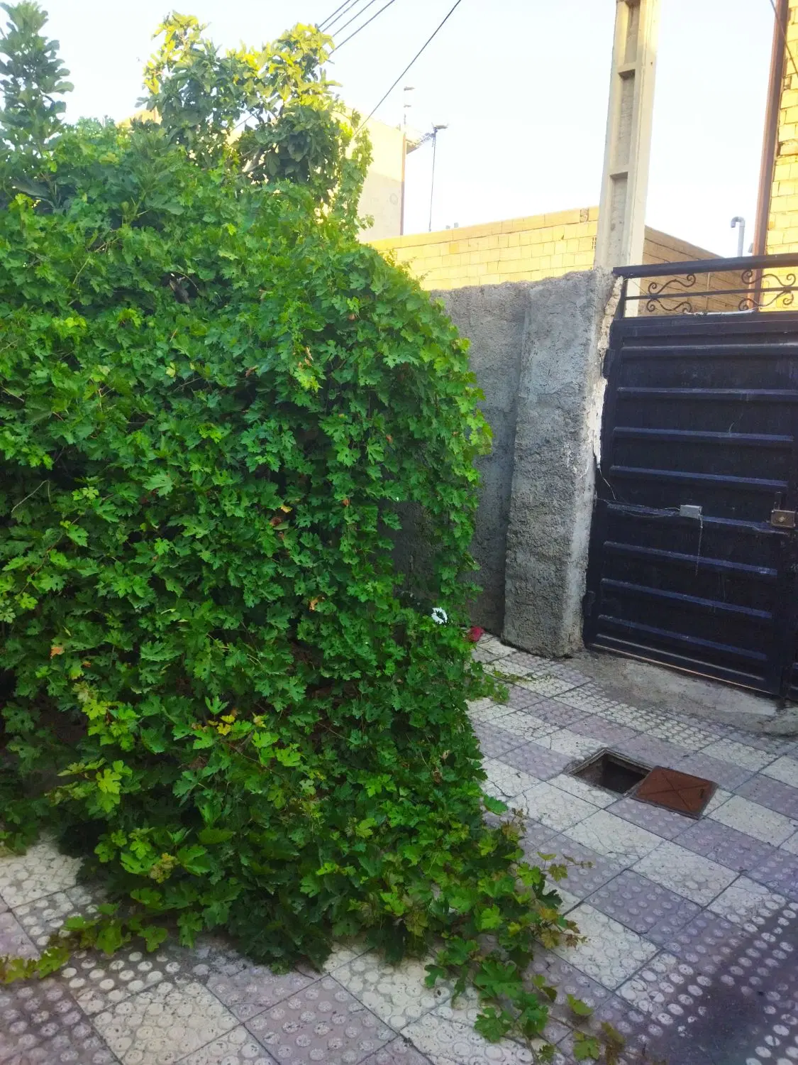 خانه ویلایی در شینقر
