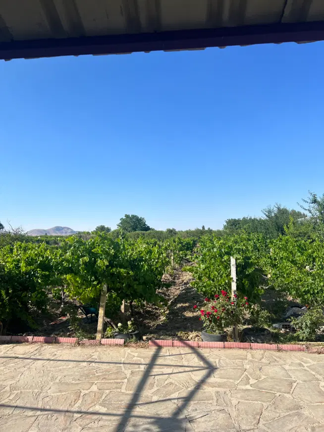 فروش و معاوضه امامزاده روستای اسلاملو قوشاباغلار