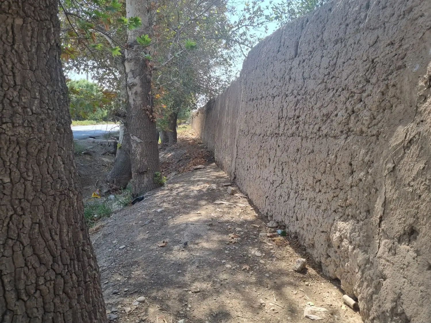 باغ بزرگ شش دانگ بر خیابان