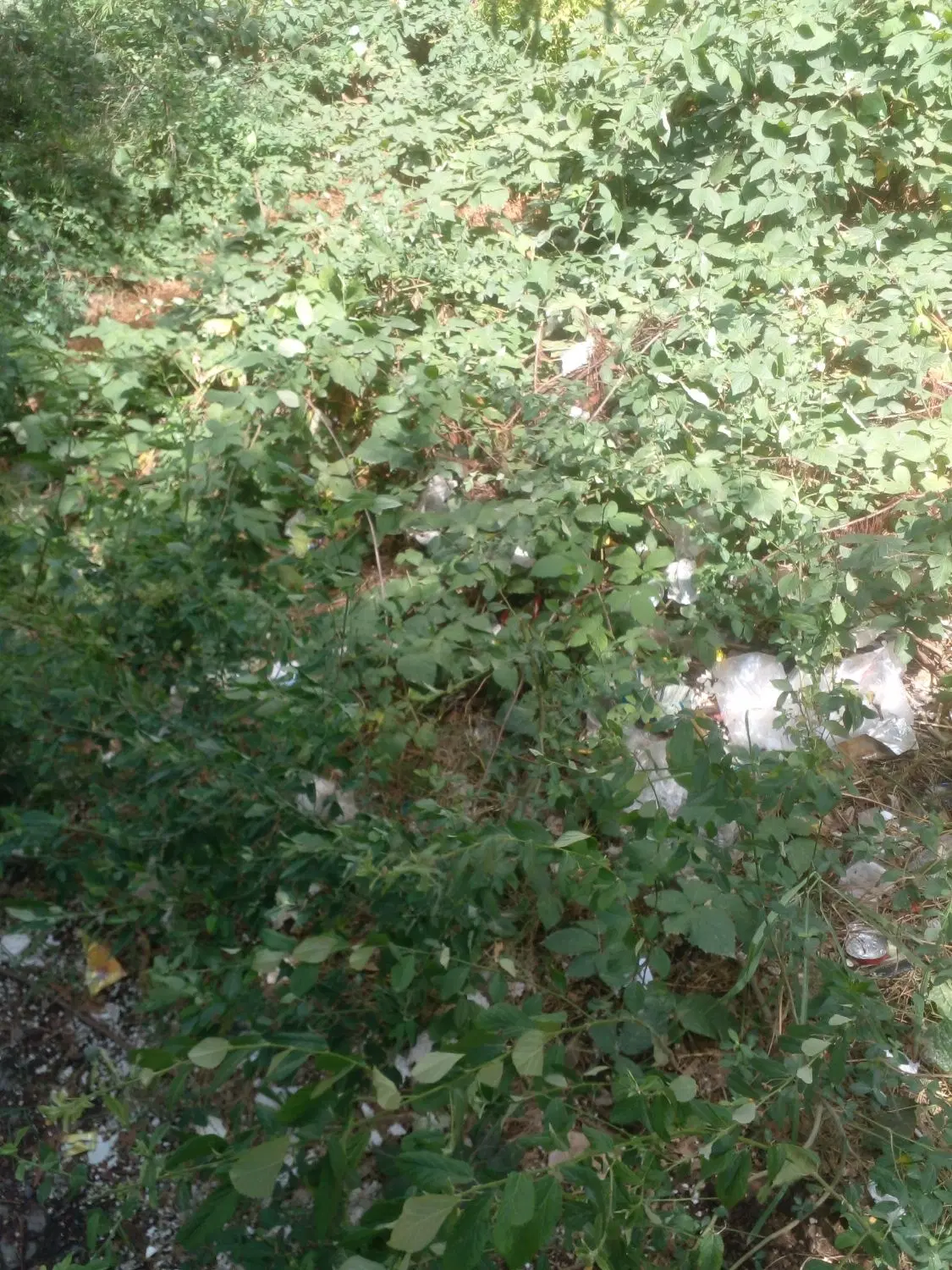 فروش زمین مسکونی