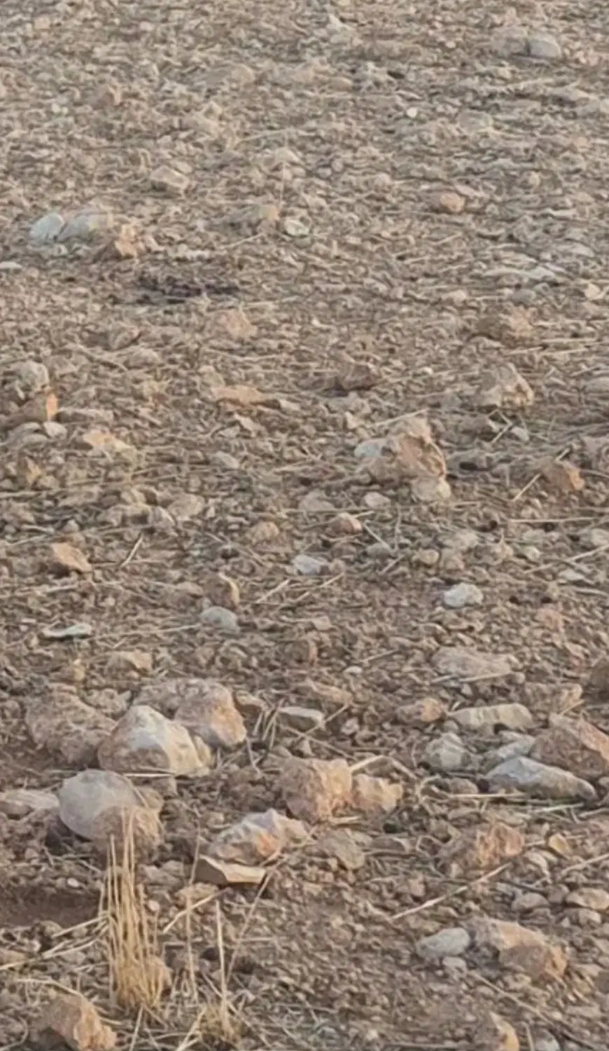 فروش و معاوضه زمین با ماشین