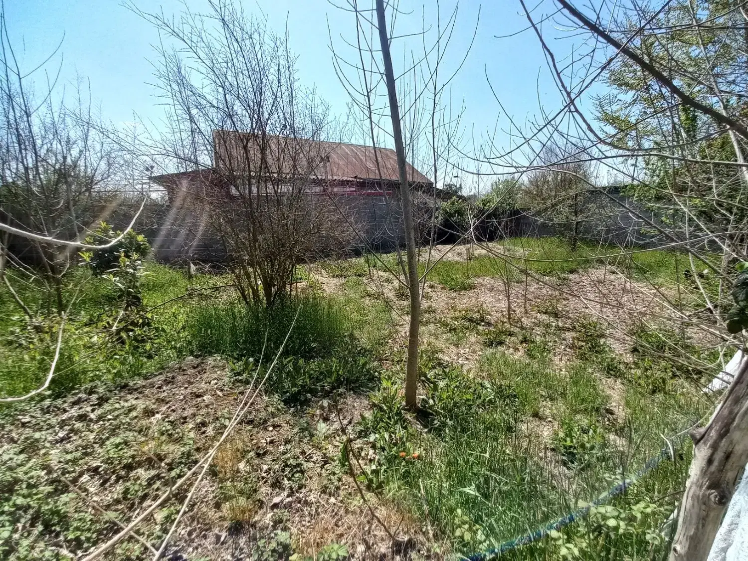 ۲۵۵ متر سند تک برگ  مسکونی