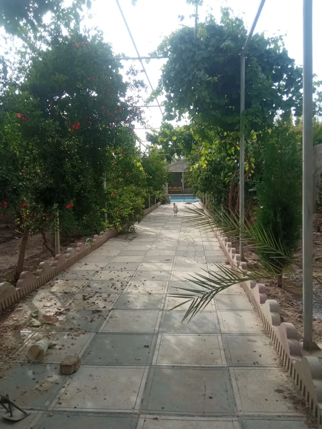 باغچه ۴۵۰ متری