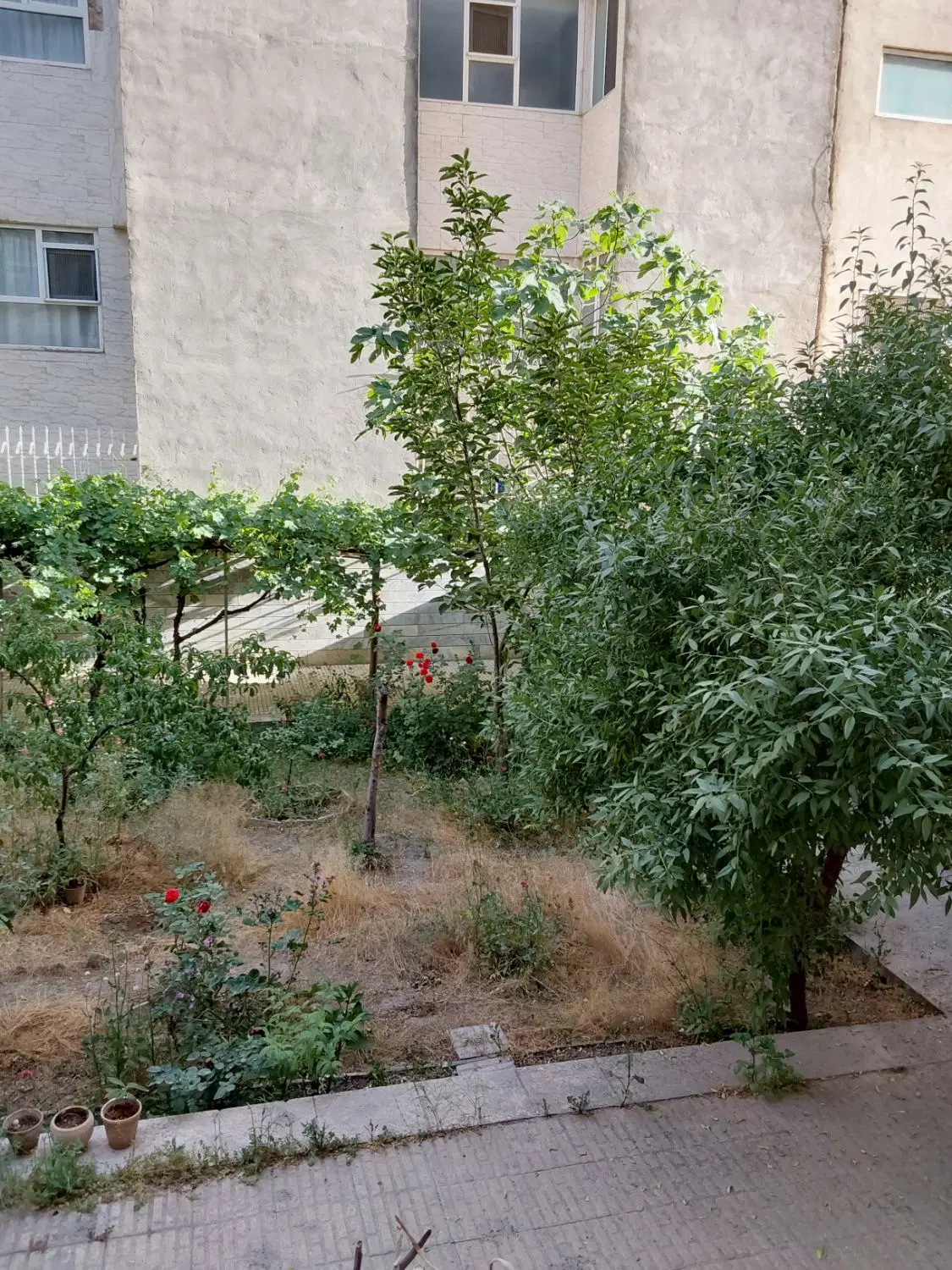 اجاره آپارتمان بوستان عظیمیه