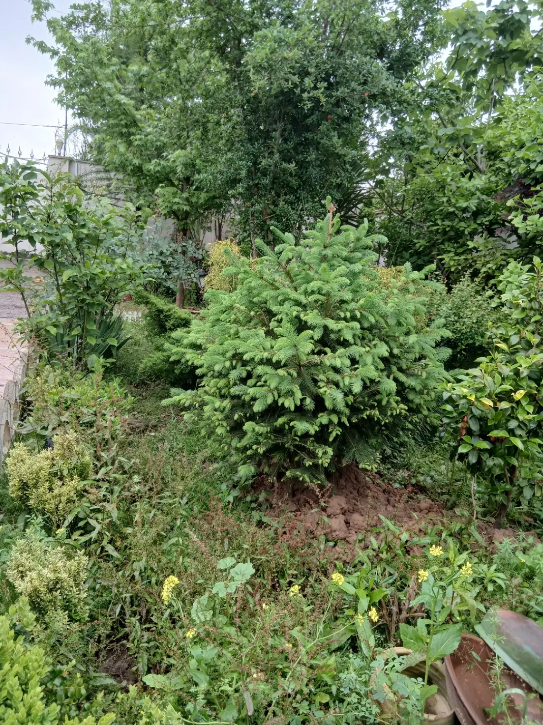 زمین مسکونی با پروانه ساخت سند تک برگ