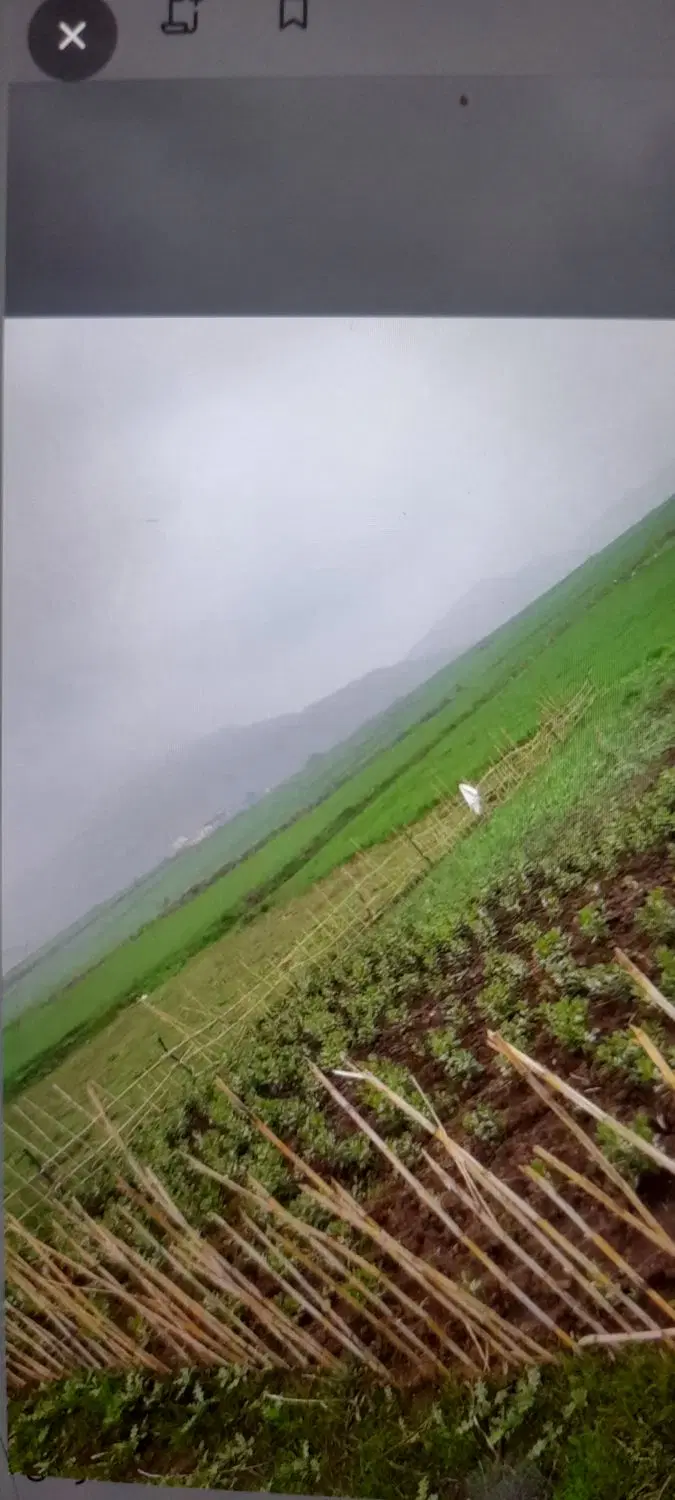 ۲۰۰mزمین متری۲۶۰۰