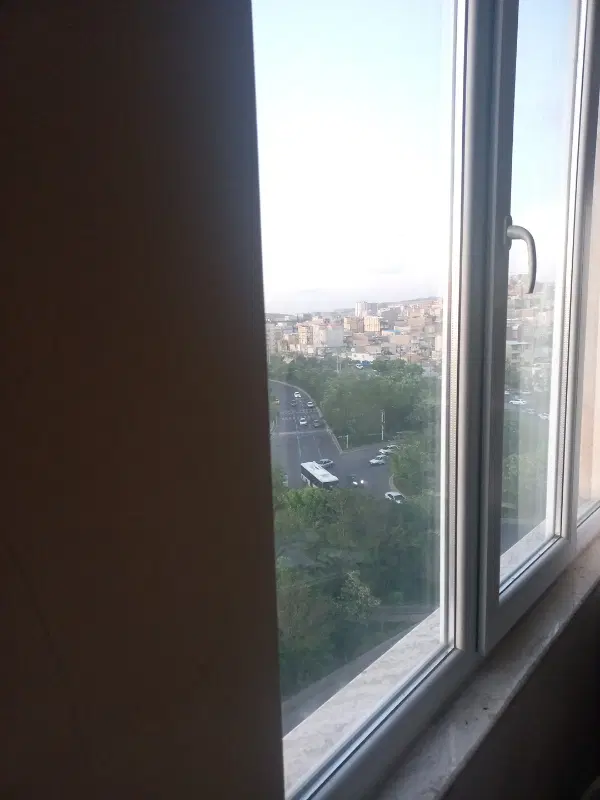 همخونه خانم