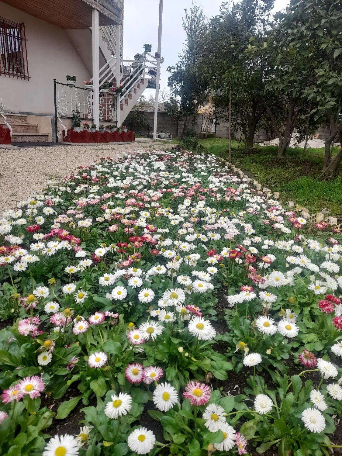 اجاره شبانه ویلا