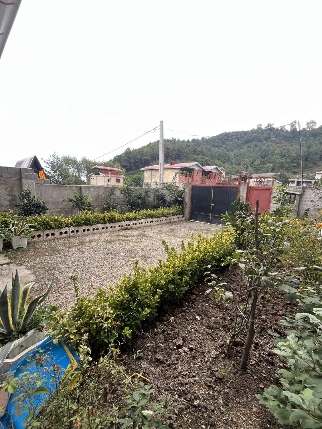 ویلای جنگلی آراد