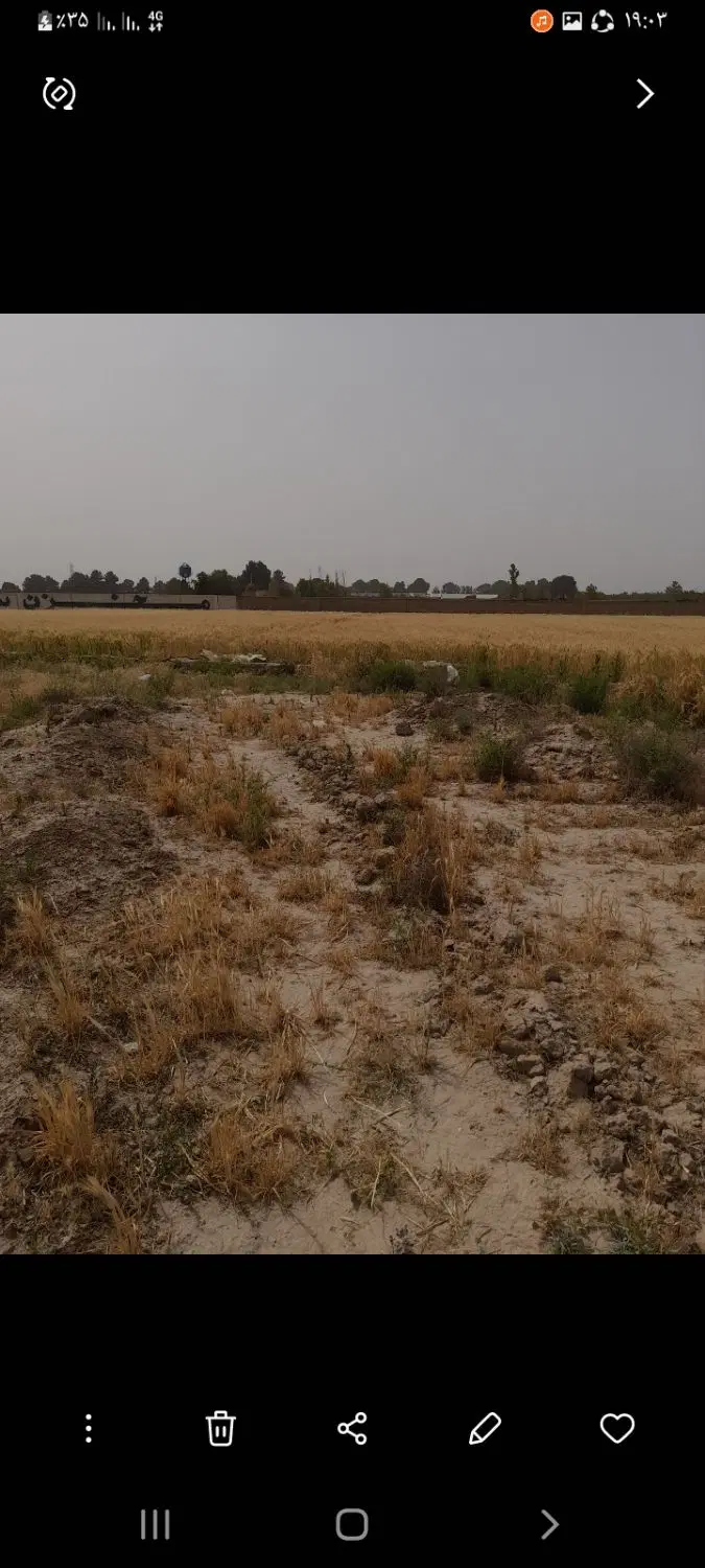 زمین صفادشت