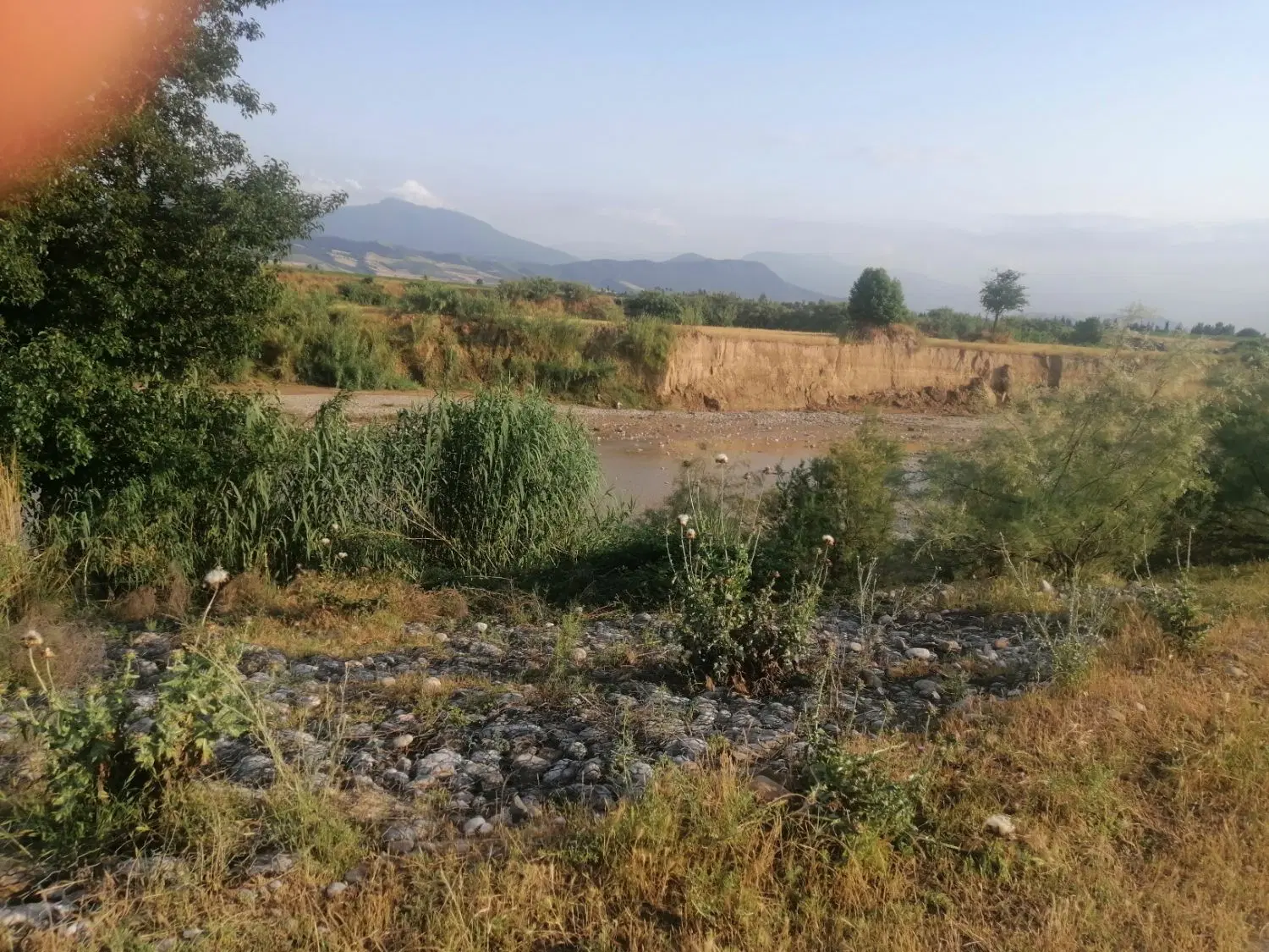 زمین مخصوص باغچه