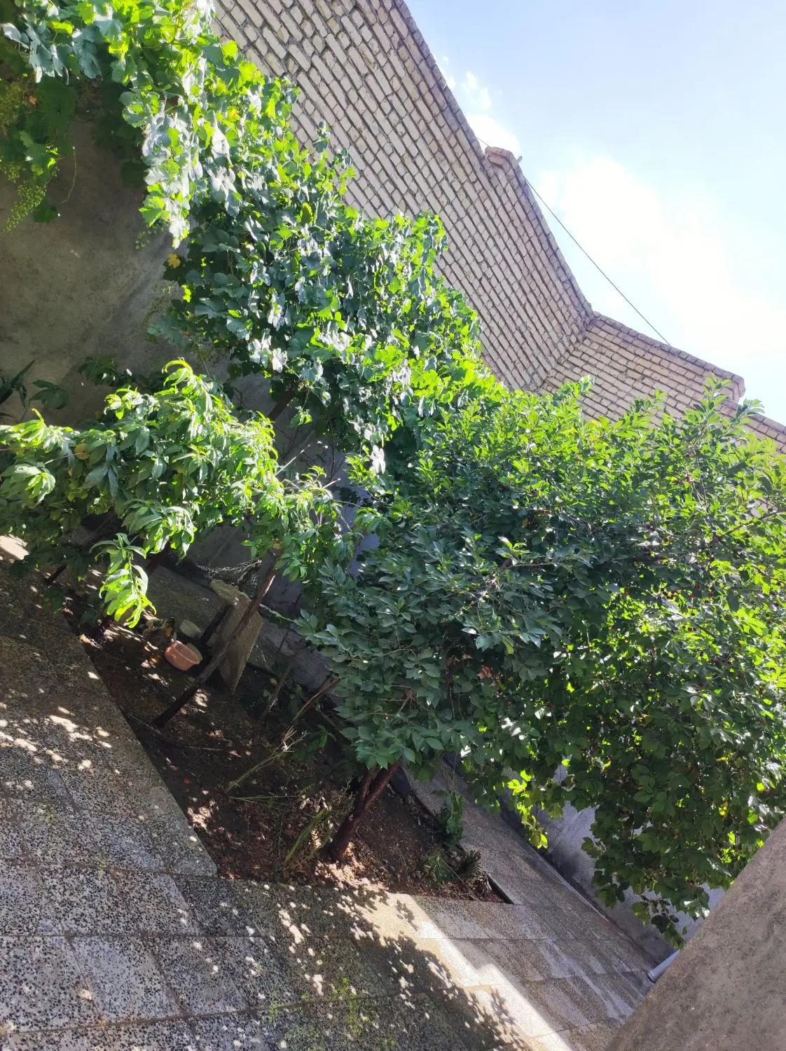 خانه باغ مهندسی ساز